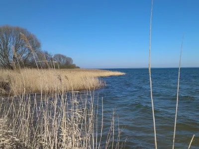 Holiday house Neu Gaarz 18 - Outdoor photo 3