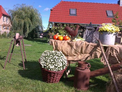 Holiday house Neu Gaarz 18 - Outdoor photo 4