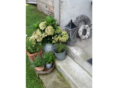 Holiday house Neu Gaarz 18 - Outdoor photo 12