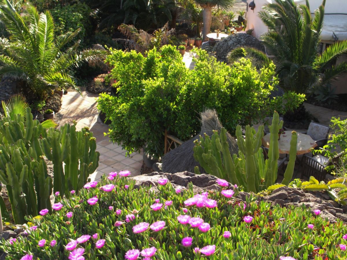 Finca Casa Cora 1 - Outdoor photo 3