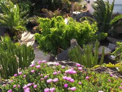 Finca Casa Cora 1 - Outdoor photo 3