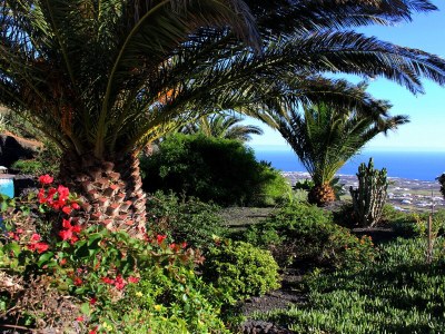 Holiday apartment Casa Cora 4 - Outdoor photo 7