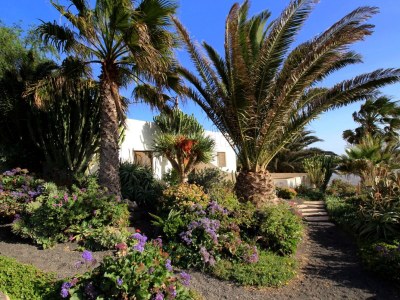 Holiday apartment Casa Cora 4 - Outdoor photo 10