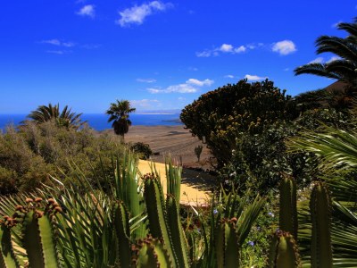 Finca Casa Cora 5 - Outdoor photo 6