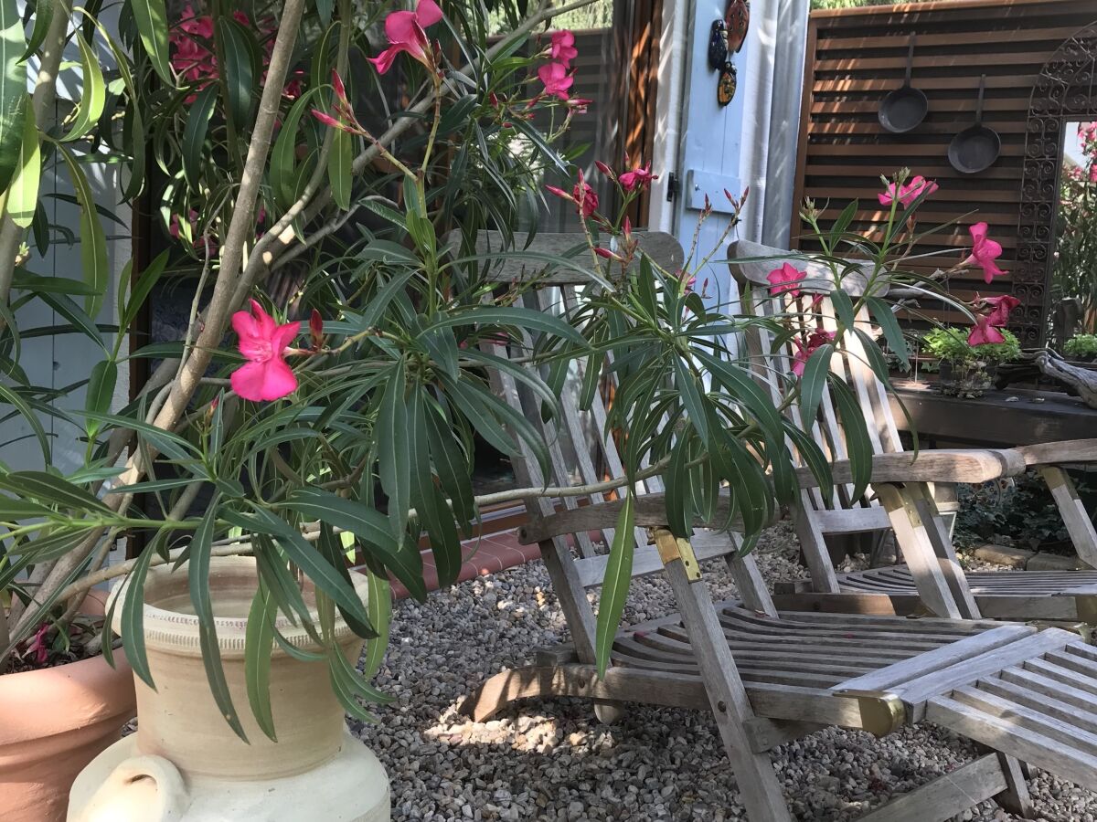 Holiday house Casa Bella Anna - Outdoor photo 3