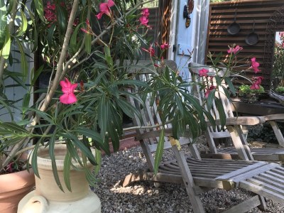 Holiday house Casa Bella Anna - Outdoor photo 3