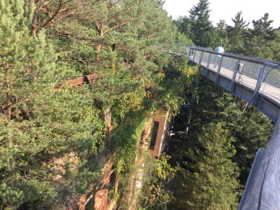 Holiday house Casa Bella Anna - Environment photo 38