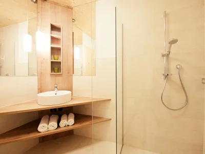 Holiday house Stubaier Glacier - Forest - Features photo 17