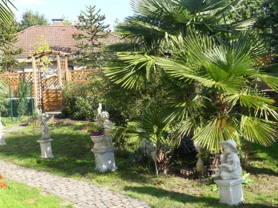 Holiday apartment Gästehaus König in Neustadt an der Weinstrasse - Holiday apartment