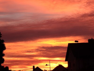 Holiday apartment Gästehaus König - Outdoor photo 7