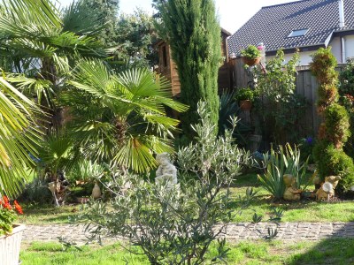 Holiday apartment Gästehaus König - Outdoor photo 9