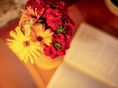 Holiday house In the south of France, La Bastide - Features photo 22