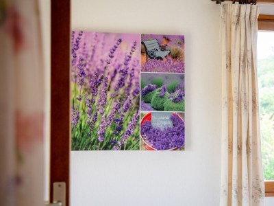 Holiday house In the south of France, La Bastide - Features photo 32