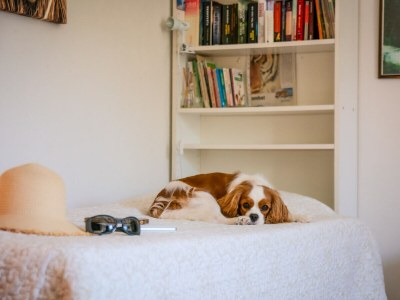 Holiday house In the south of France, La Bastide - Features photo 34