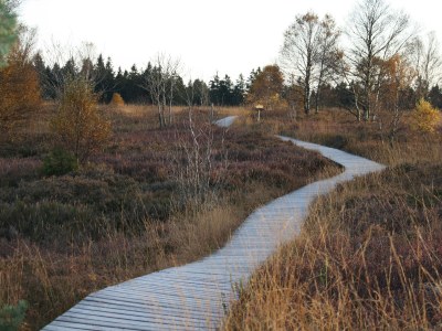 Holiday house "Zum Vennbiber" - Environment photo 17