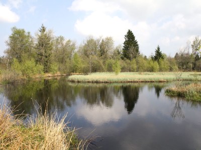 Holiday house "Zum Vennbiber" - Environment photo 19