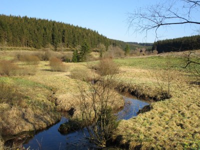 Holiday house "Zum Vennbiber" - Environment photo 21