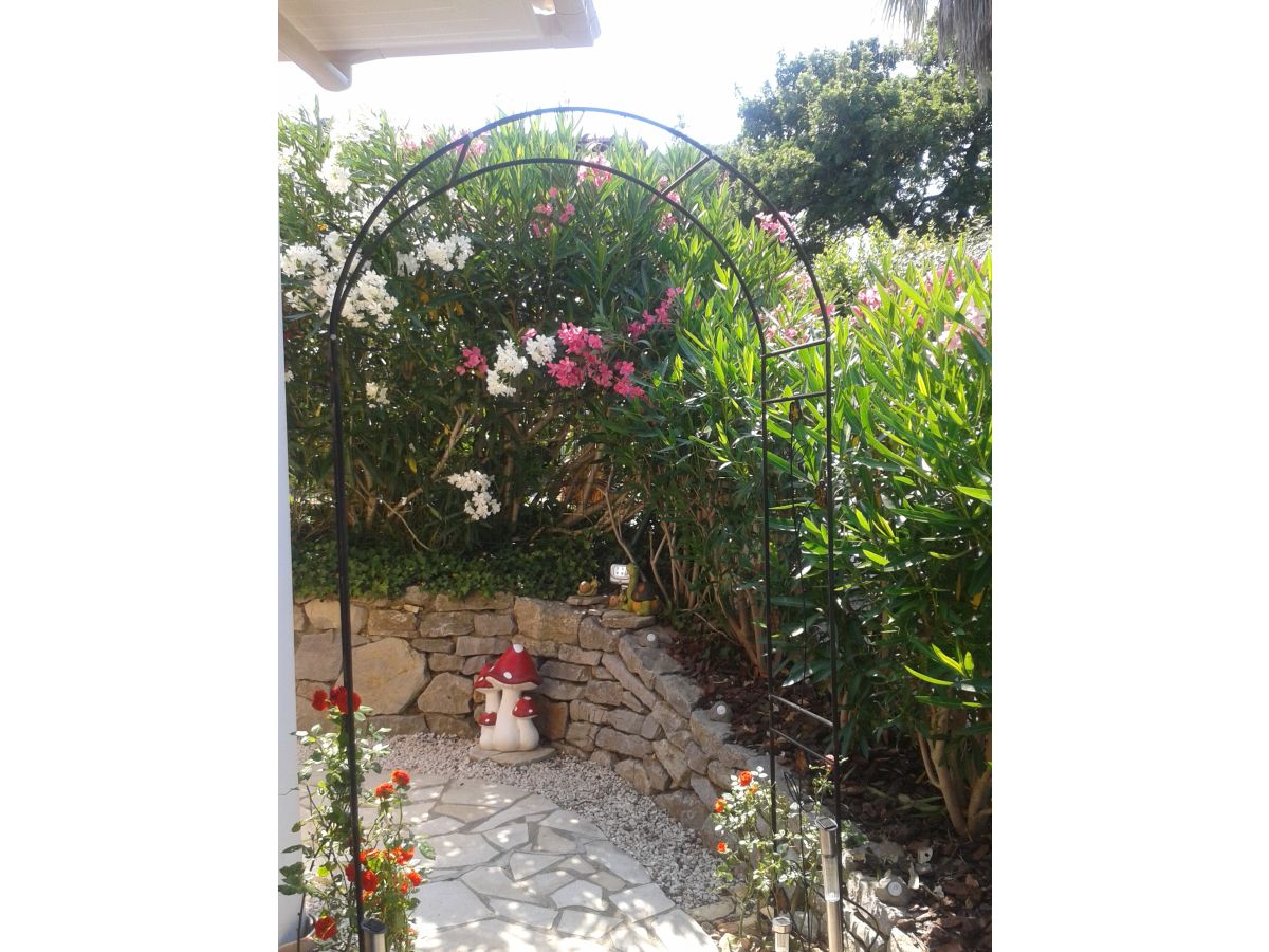 Holiday house Chalet Monique - Outdoor photo 3