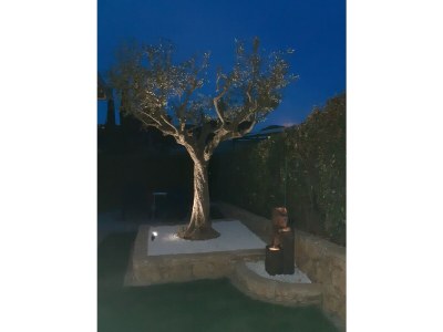 Holiday house Chalet Monique - Outdoor photo 9