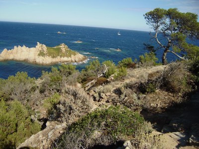 Holiday house Chalet Monique - Environment photo 36