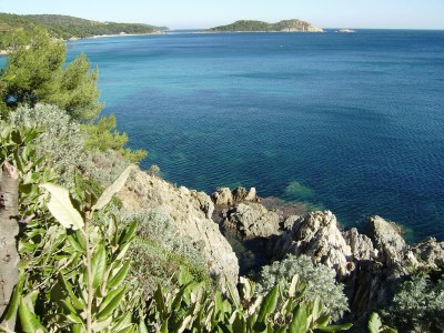 Holiday house Chalet Monique - Environment photo 38