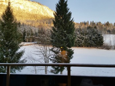 Holiday apartment Pothmann - Environment photo 19