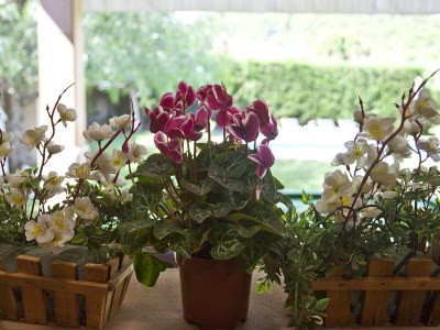 Holiday house Ref. 96 - Features photo 19