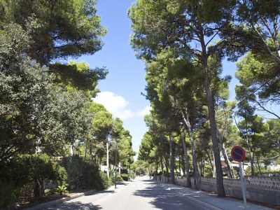 Holiday house Ref. 96 - Environment photo 29