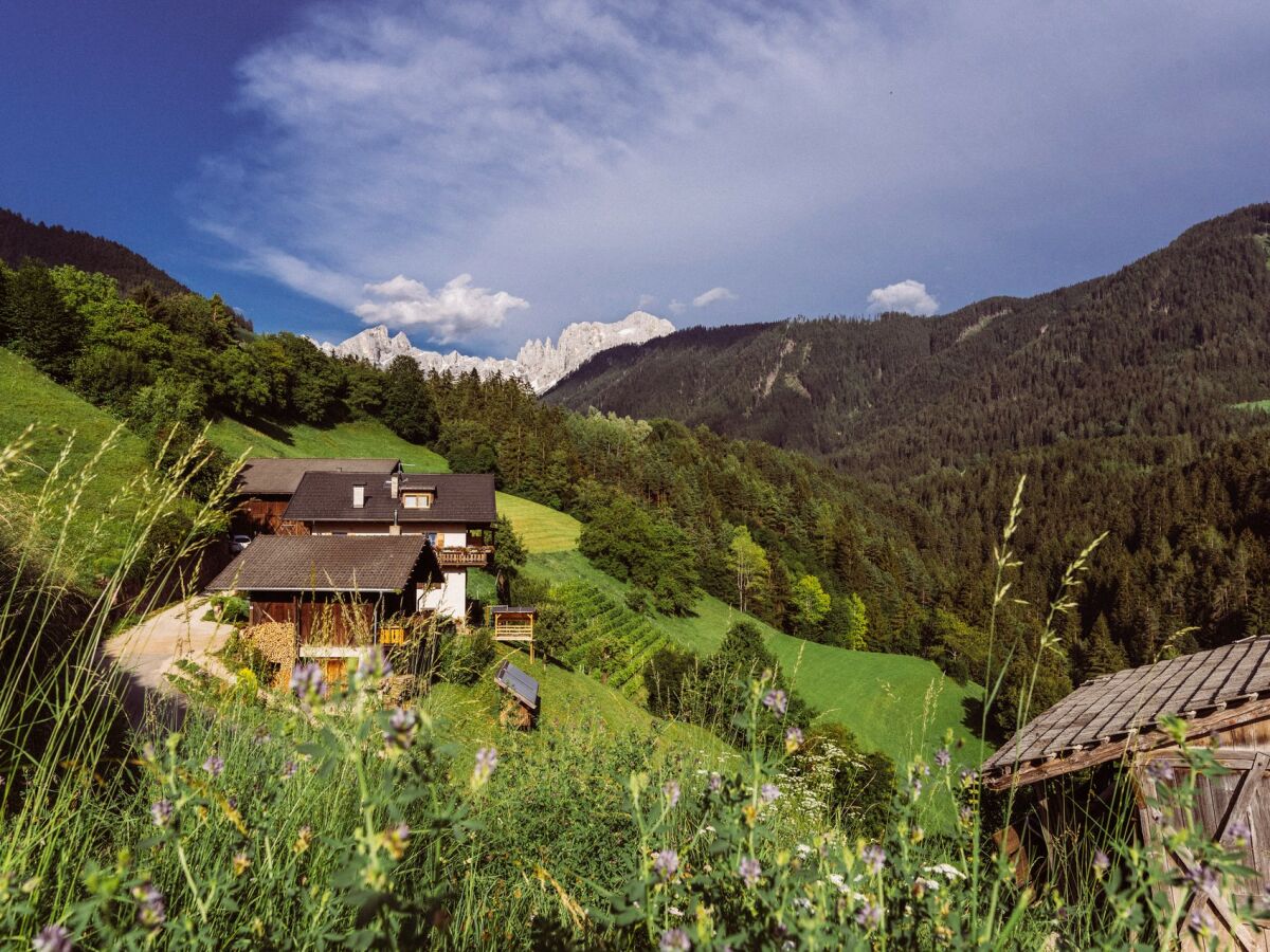 Holiday apartment "Sternhimmel" Spinuserhof - Outdoor photo 2