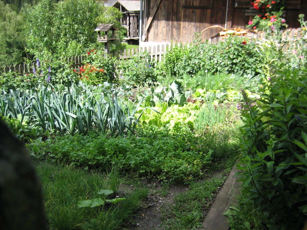 Holiday apartment "Sternhimmel" Spinuserhof - Outdoor photo 4