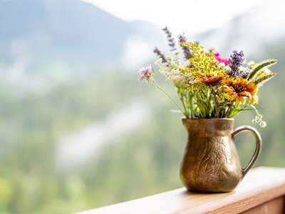 Holiday apartment "Sternhimmel" Spinuserhof - Outdoor photo 13