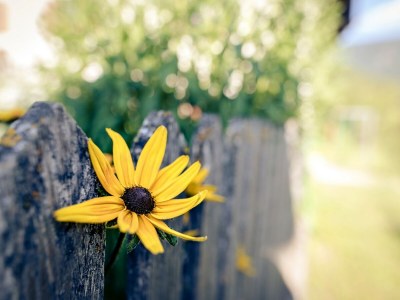 Holiday apartment "Sternhimmel" Spinuserhof - Outdoor photo 15
