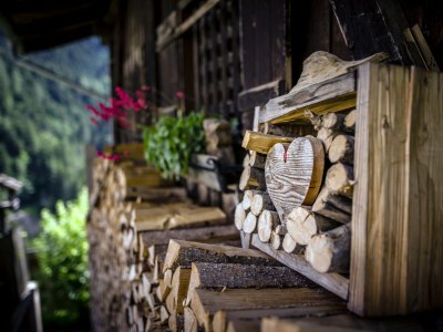 Holiday apartment "Sternhimmel" Spinuserhof - Outdoor photo 16