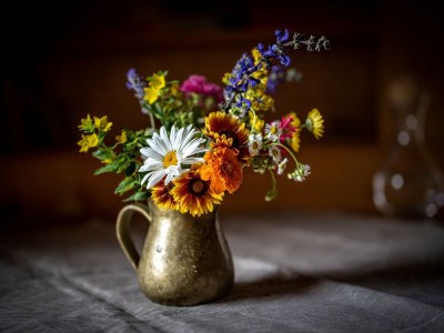 Holiday apartment "Sternhimmel" Spinuserhof - Features photo 28