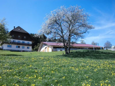 Holiday apartment Ursprung in St.Georgen-Peterzell - Holiday apartment