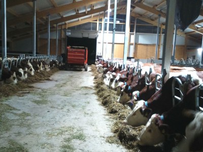 Holiday apartment Ursprung - Outdoor photo 3