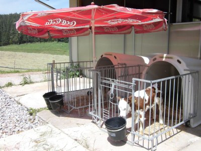 Holiday apartment Ursprung - Outdoor photo 6