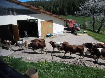 Holiday apartment Ursprung - Outdoor photo 7