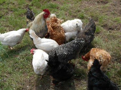 Holiday apartment Ursprung - Outdoor photo 8