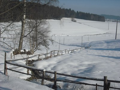 Holiday apartment Ursprung - Outdoor photo 13