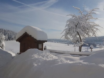 Holiday apartment Ursprung - Outdoor photo 15