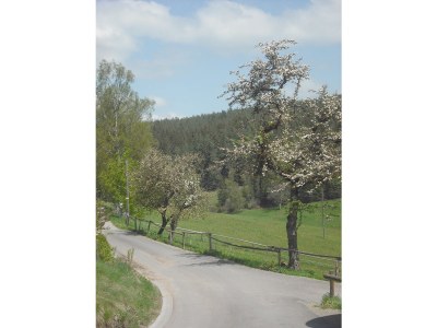 Holiday apartment Ursprung - Environment photo 28