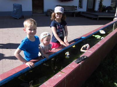 Holiday apartment Ursprung - Environment photo 30