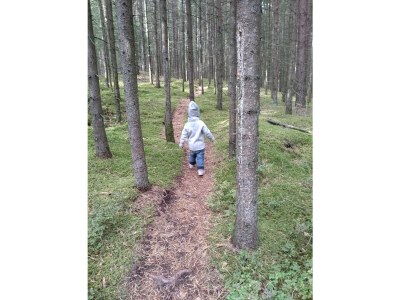 Holiday apartment Ursprung - Environment photo 36