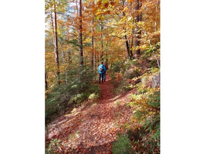 Holiday apartment Ursprung - Environment photo 38