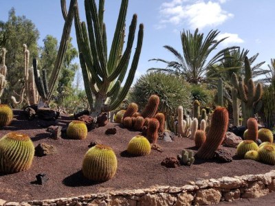 Villa Mares - Environment photo 19