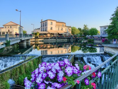 Holiday house with pool in Provence in L'Isle-sur-la-Sorgue - Environment photo 34