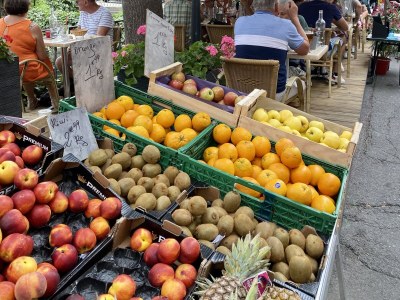 Holiday house with pool in Provence in L'Isle-sur-la-Sorgue - Environment photo 38