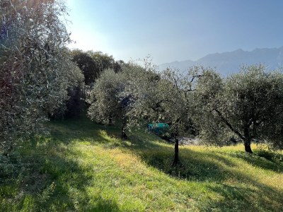 Holiday apartment Villagio Navene Residence - Outdoor photo 9