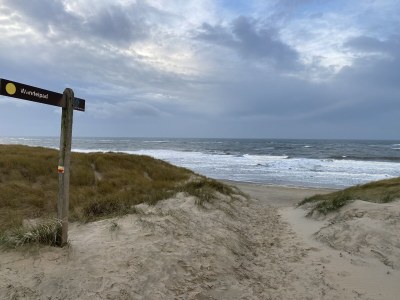 Bungalow Verste Coogh 52 - Environment photo 22